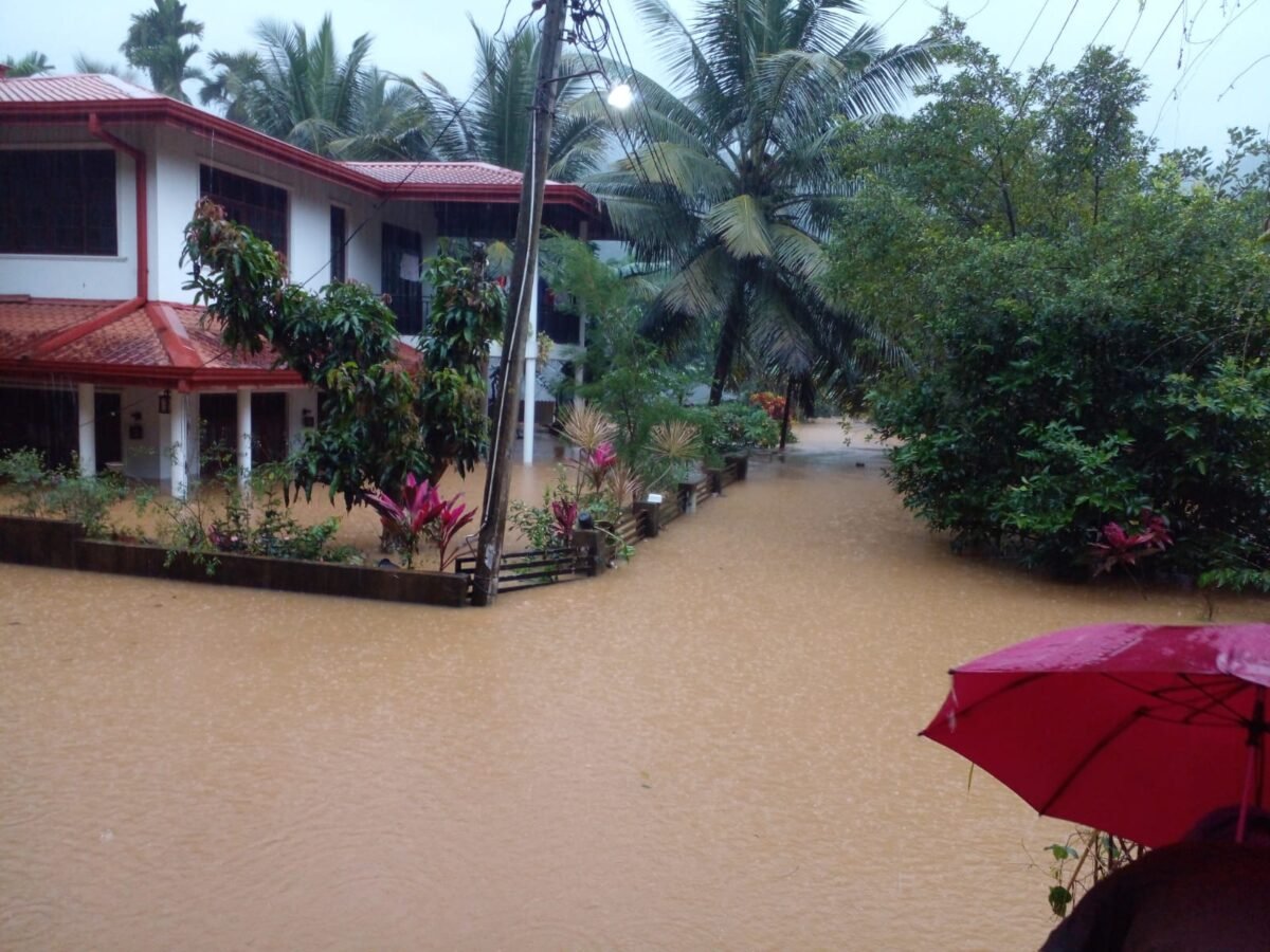 WhatsApp Image 2026-02-05 at 11.00.56 PM