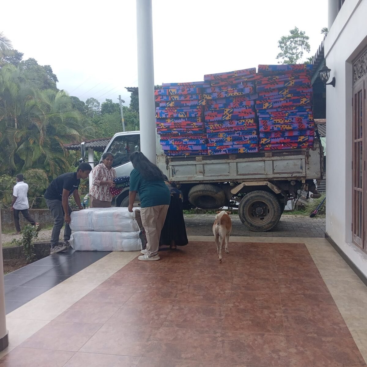 WhatsApp Image 2026-02-05 at 11.00.59 PM